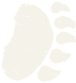 BearClaw Robotics